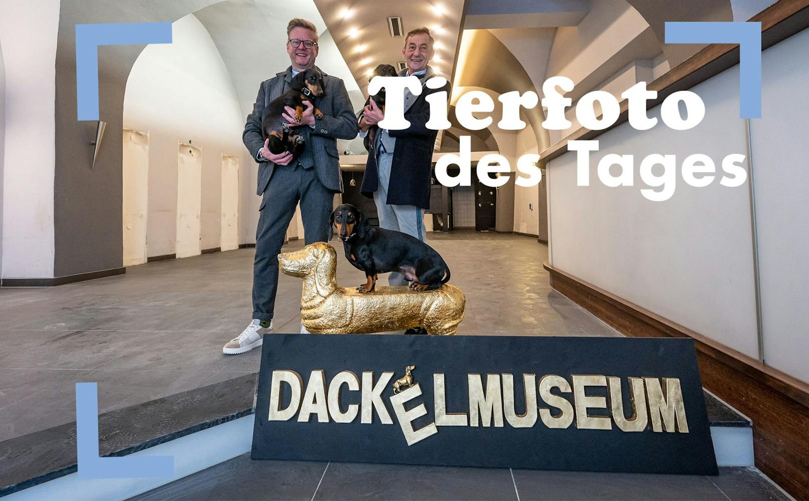 Das Passauer Dackelmuseum zieht nach Regensburg und stellt ca. 5.000 Dackel-Exponate aus. Witzig. 
