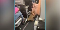 Deshalb muss Hundebesitzerin ein Flugzeug verlassen