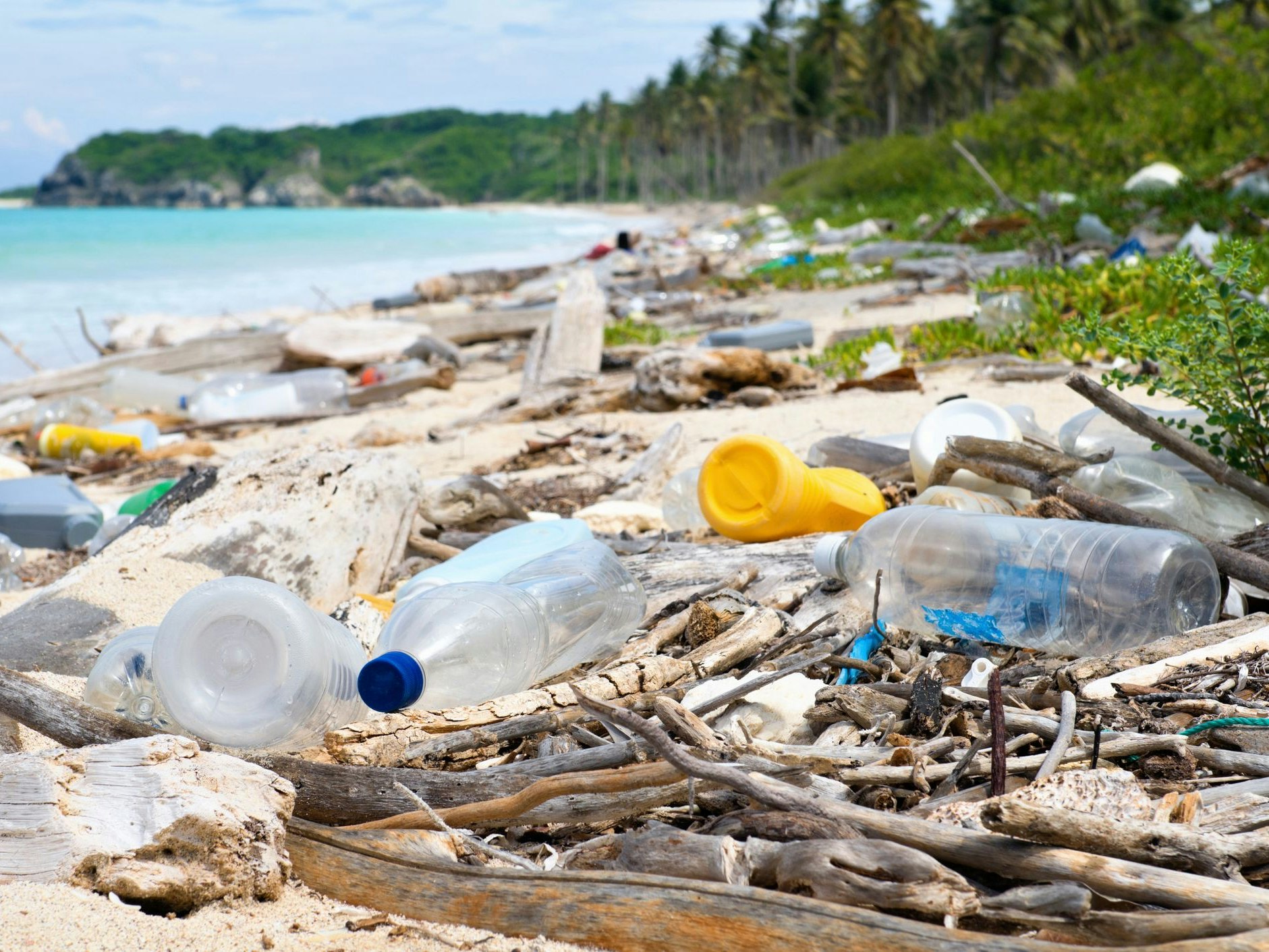 Garbage and pollution on a Tropical beach