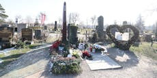 Falco-Gras vom Zentralfriedhof bei Fans heiß begehrt