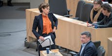 SPÖ-Grande: "Rendi-Wagner ist verdorben worden"