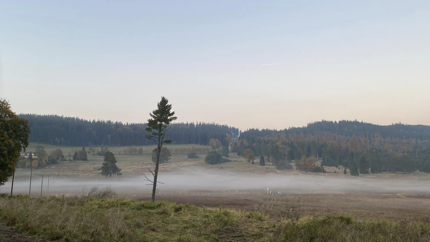 Heute.at - Frost im Hochsommer! NÖ-Gemeinde muss bibbern