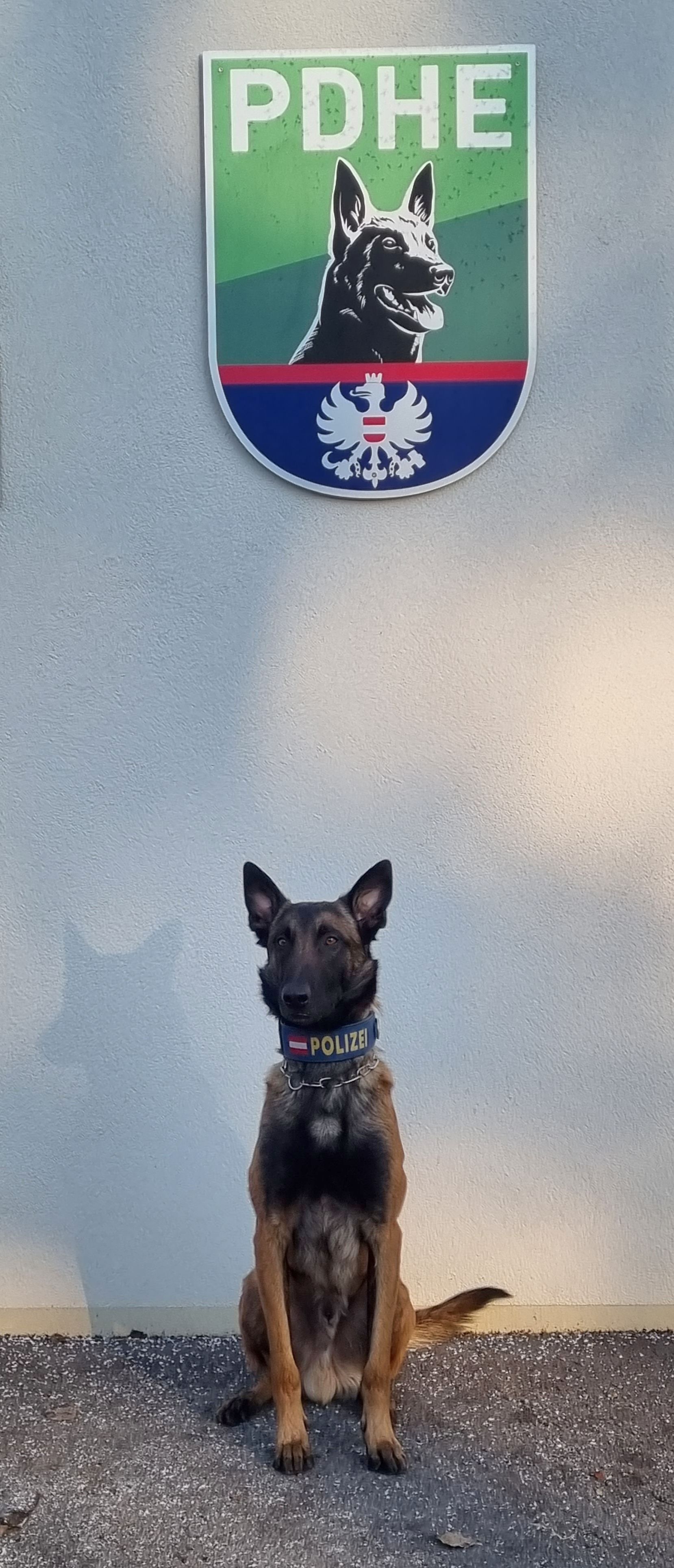 Ein versteckter Tatverdächtiger wurde vom Polizeidiensthund 