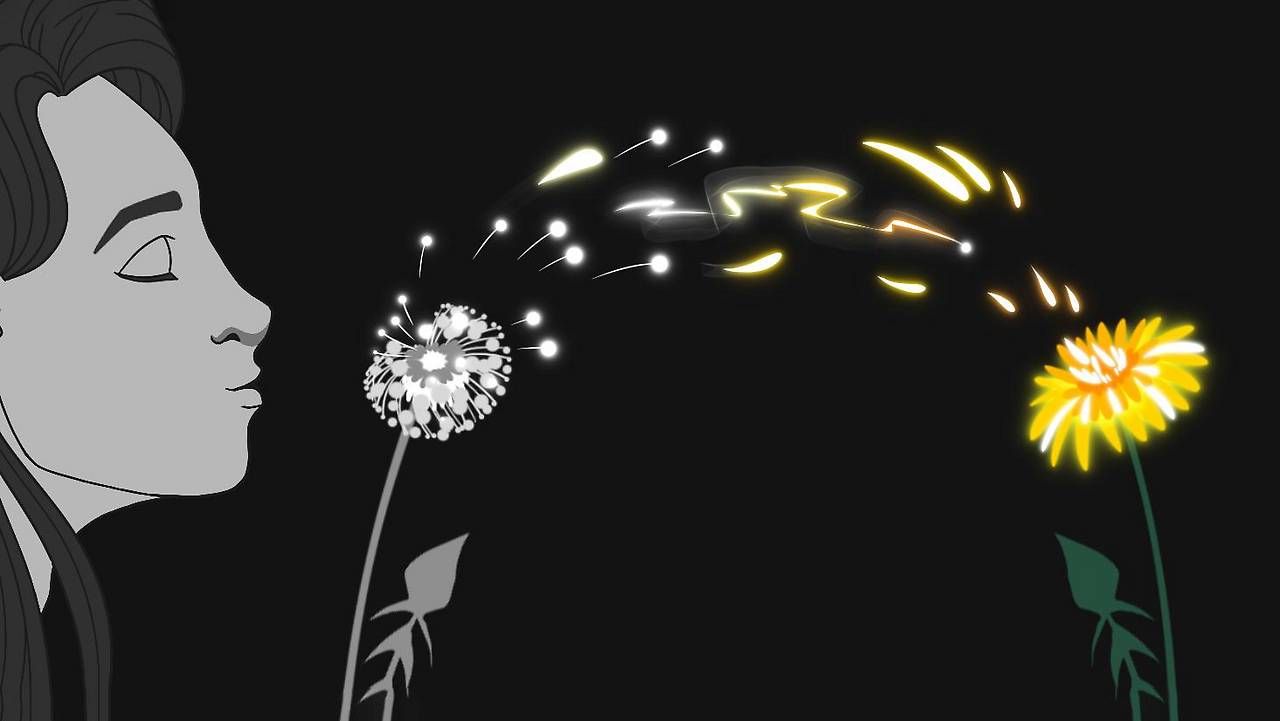 Illustration der Universität Wien zu der Studie: Die Entwicklung einer Löwenzahnblüte zur Pusteblume wurde quasi umgekehrt