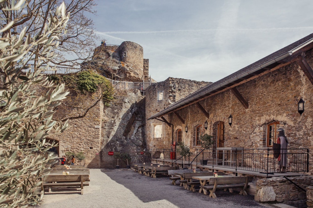 Die Burgruine Aggstein