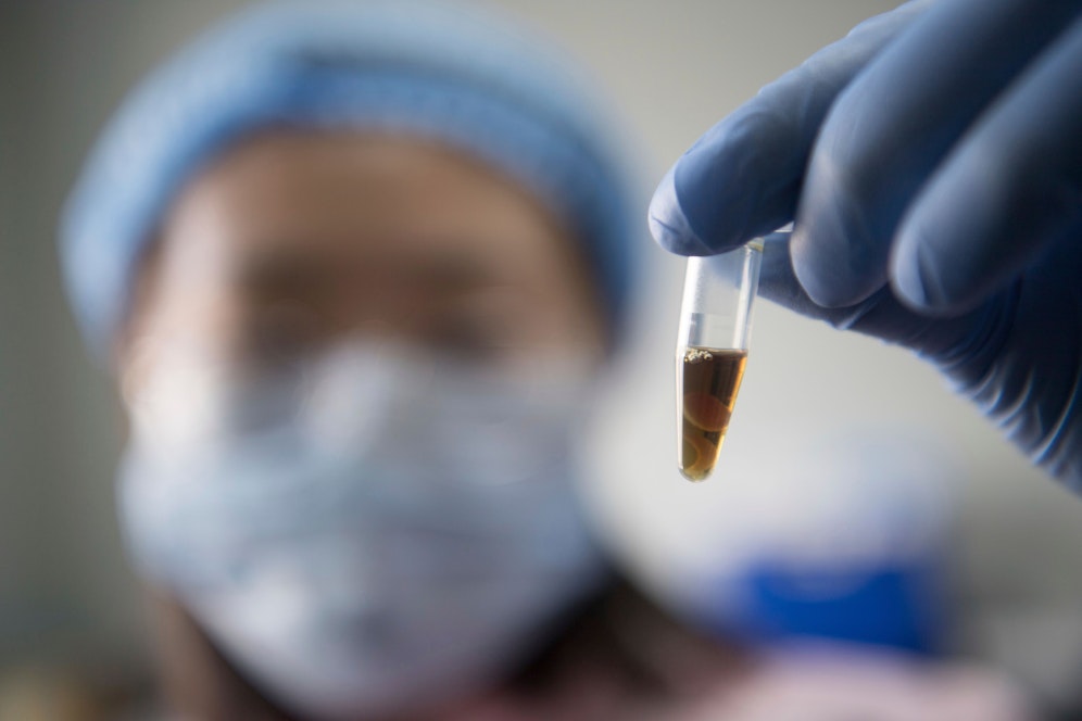 Vor rund drei Jahren hat He Jankui Gentech-Babys geschaffen. Jetzt hat er sich zurückgemeldet.