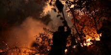Waldbrände in Chile völlig außer Konrolle