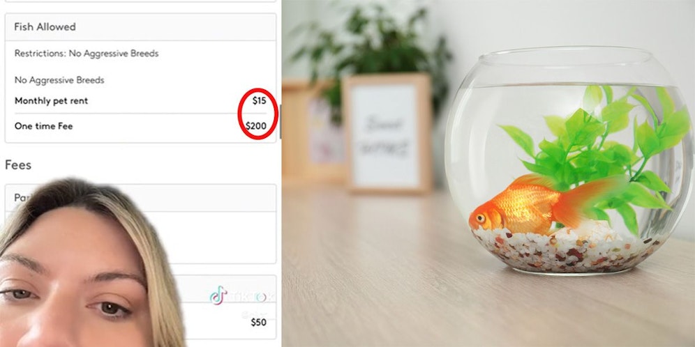 Nicole war schockiert, als sie feststellte, dass ein Vermieter für einen Fisch Gebühren verlangt.