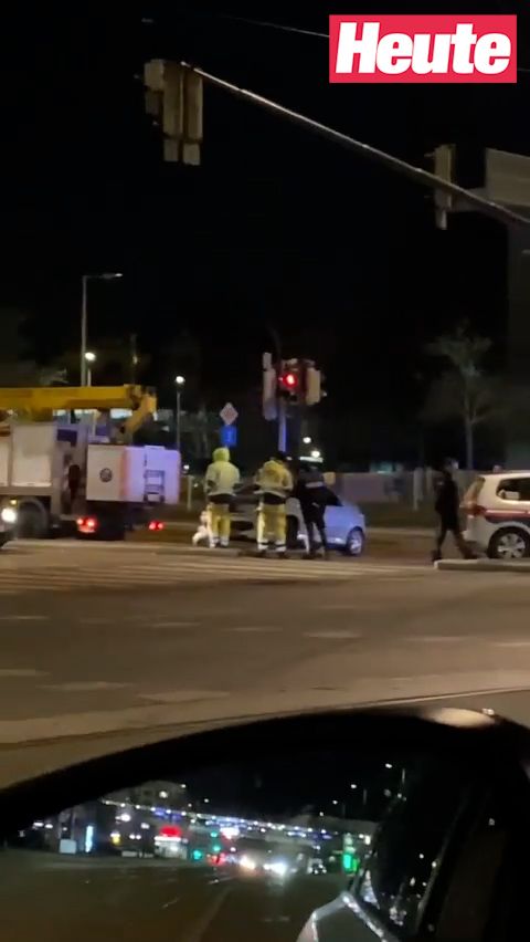 Der Peugeot-Lenker kracht gegen einen Lichtmast.