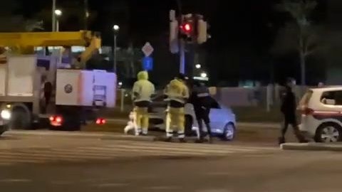 Der Peugeot-Lenker kracht gegen einen Lichtmast.