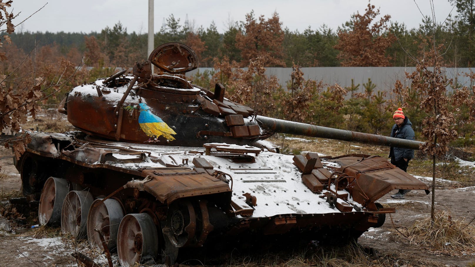 Ein zerstörter Panzer der russischen Armee in Dmytrivka bei Kiew. Die blau-gelbe Friedenstaube darauf ist ein Werk des Künstlers Tvboy.