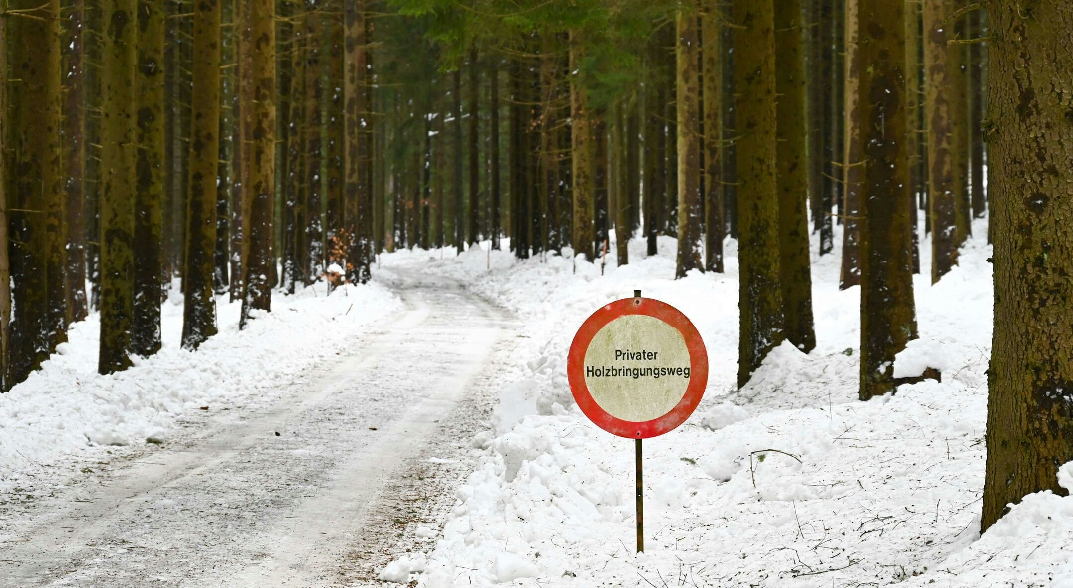 Ein Autofahrer die Leiche in Bad Leonfelden (Bez. Urfahr-Umgebung).