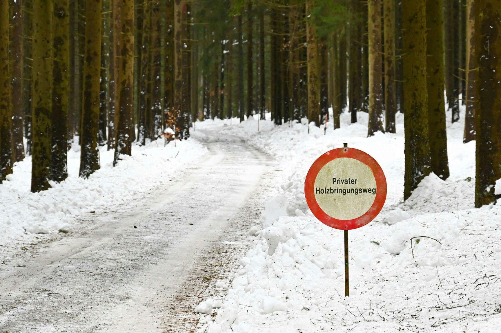 Ein Autofahrer die Leiche in Bad Leonfelden (Bez. Urfahr-Umgebung).