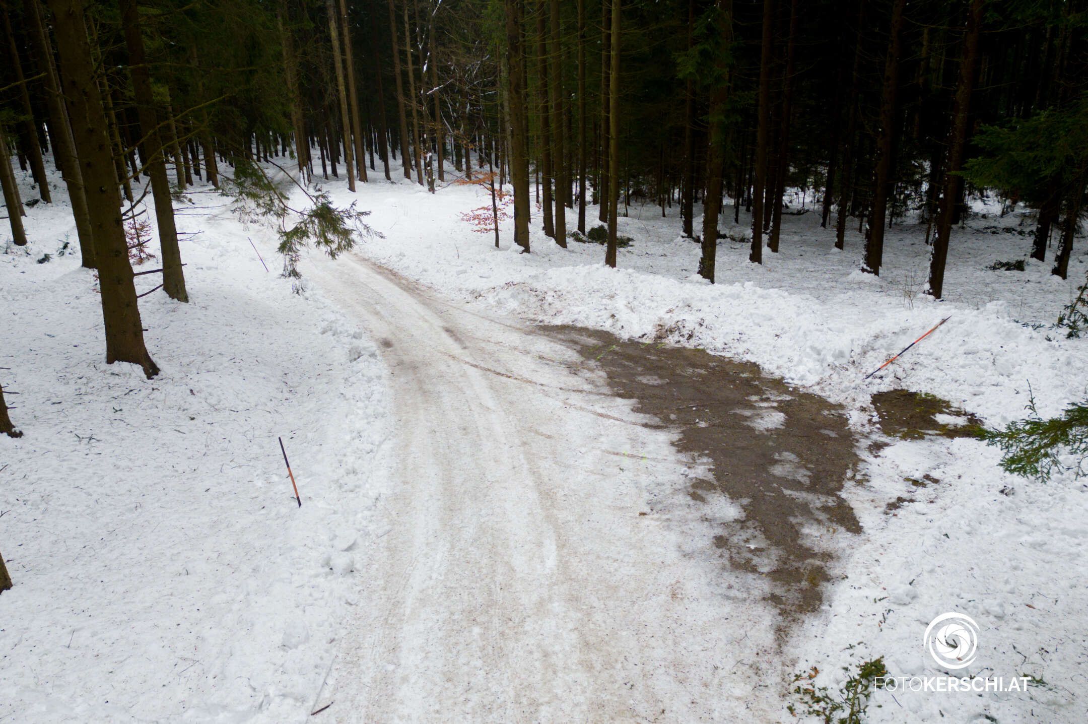 Hier wurde die 19-Jährige gefunden. Die junge Frau hatte schwere Kopfverletzungen.