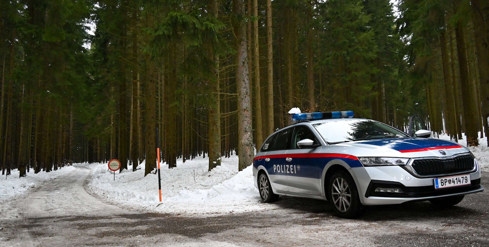 Die Leiche wurde von einem Autofahrer auf einem Waldweg in Bad Leonfelden (Bez. Urfahr-Umgebung) gefunden.
