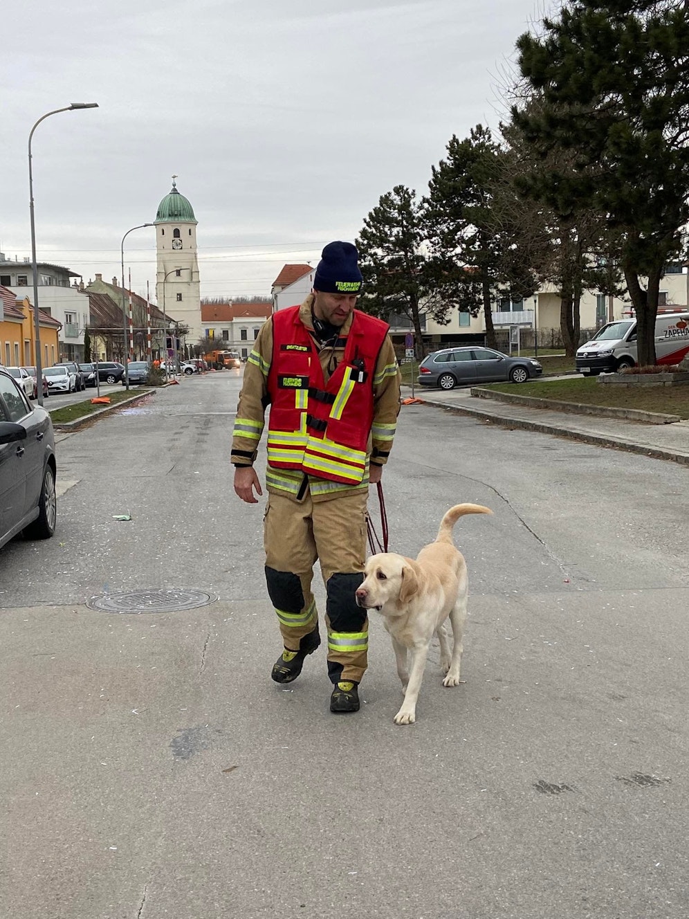 Alex Travnik konnte das Herz des Labrador-Rüden 