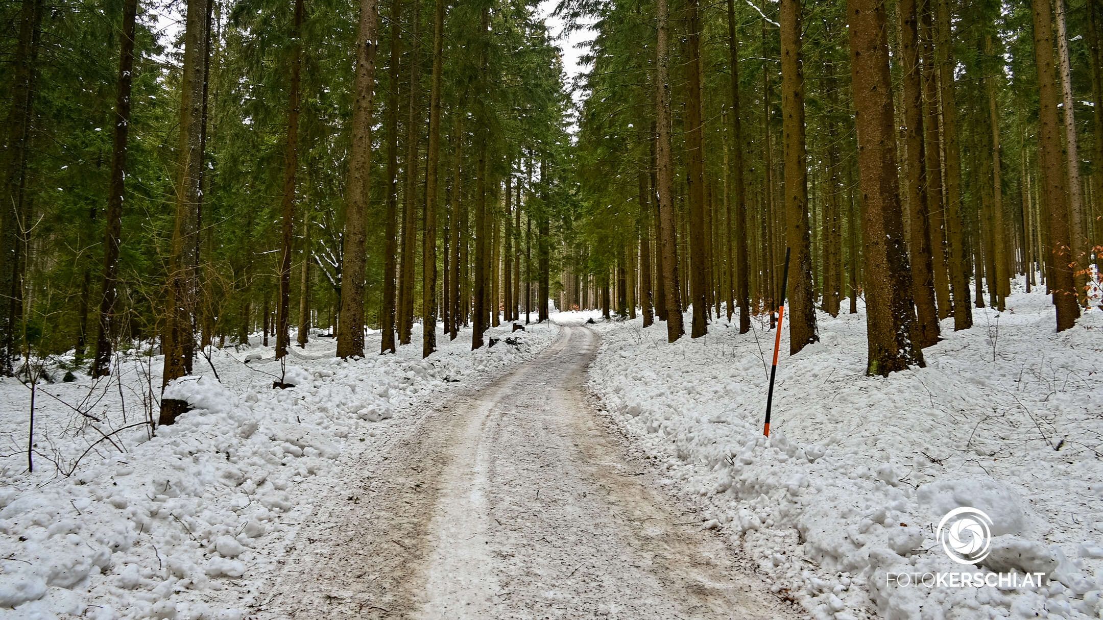 Die 19-Jährige aus Steyr wurde mit einer Schneestange erschlagen. Motiv dürfte ein Streit um Geld fürs Spielcasino gewesen sein.