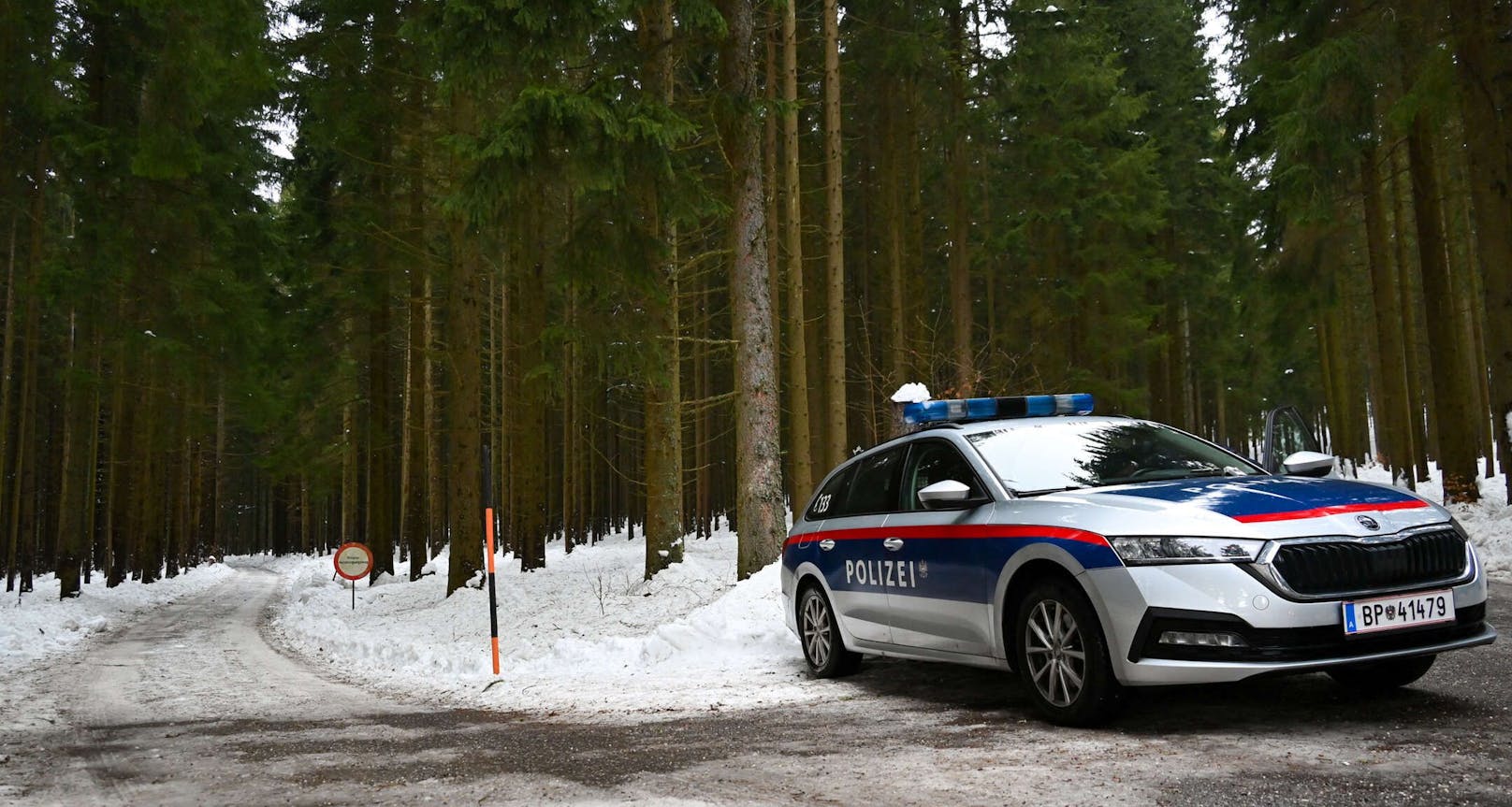 Ein Autofahrer schlug am Vormittag Alarm. Er hatte die tote Frau auf einem Forstweg in Bad Leonfelden (Bez. Urfahr-Umgebung) entdeckt.