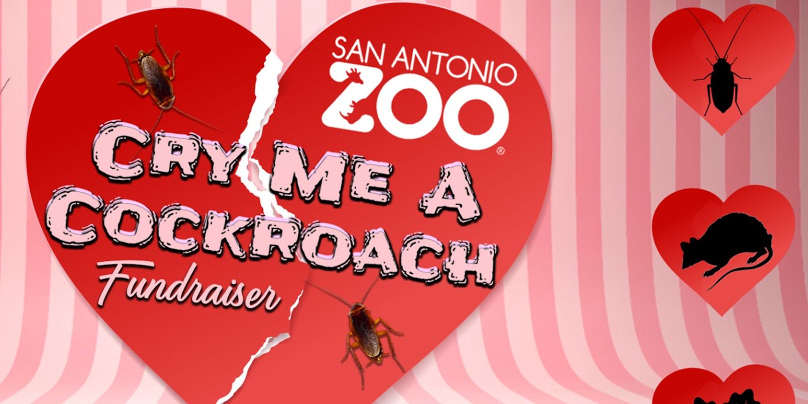 Im San Antonio Zoo kann meinen seine Verflossenen verfüttern lassen.&nbsp;