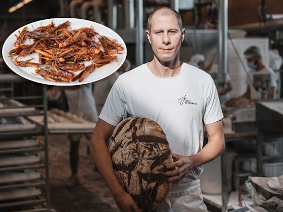 "Joseph-Brot"-Gründer Josef Weghaupt schlägt die Verwendung von "Insektenmehl" auf den Magen.