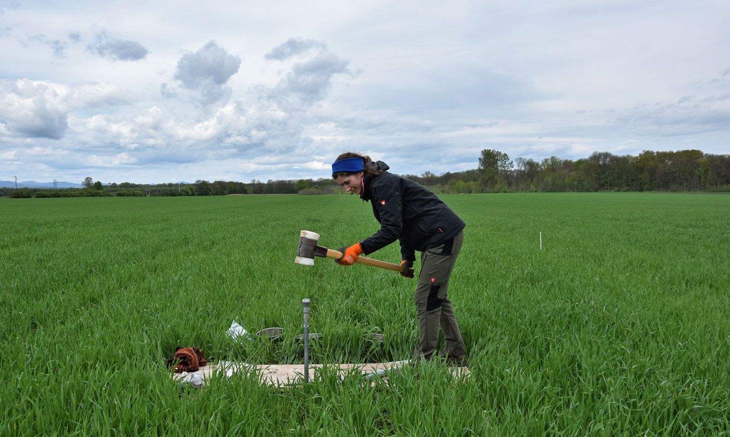 Haben sich resistente Gene im Acker ausgebreitet? Forschende entnehmen Proben, um Resistenzen aufzudecken, die wiederum bei Tieren und Menschen landen könnten.