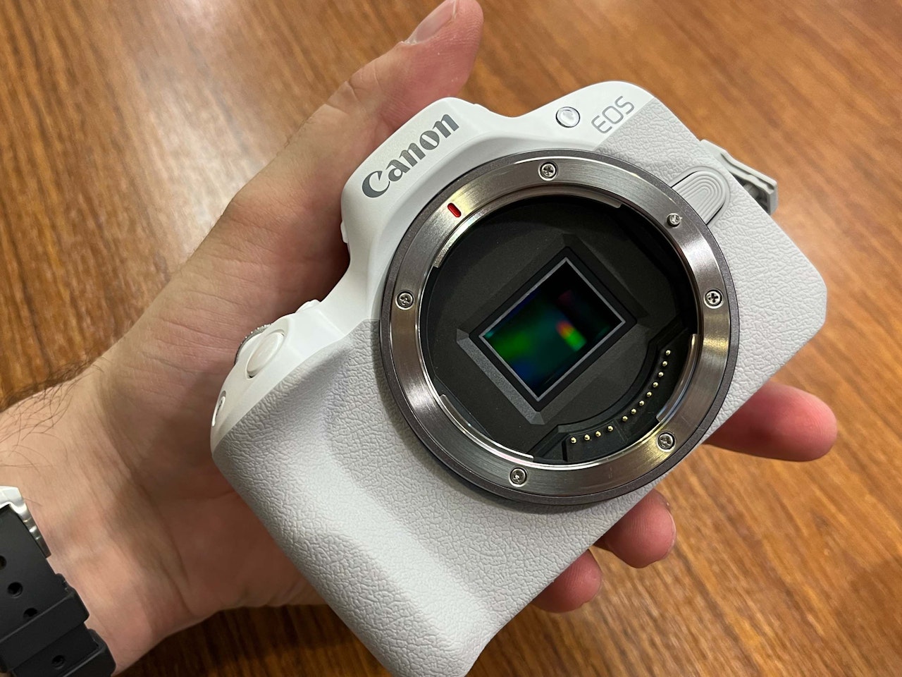 Heute.at - Die Canon R50 schießt geniale Fotos (fast) von selbst