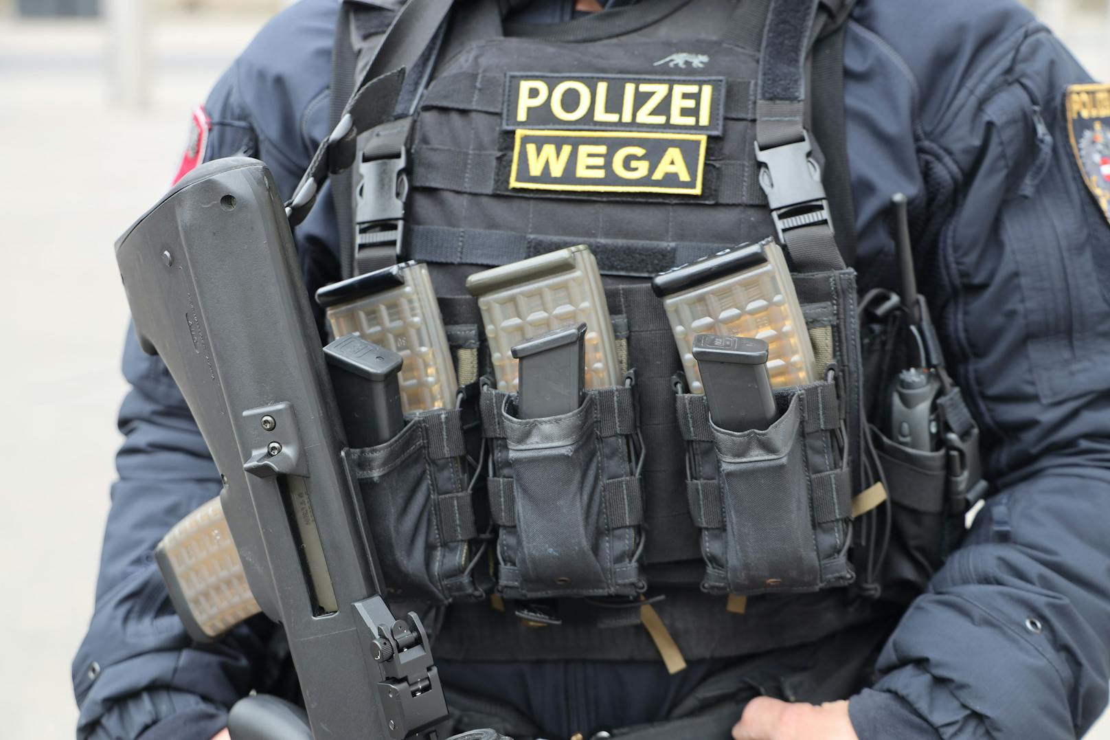 WEGA-Einsatz in Wien – EU-weit gesuchter Mann verhaftet