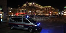 Polizei sperrt Ring – Hunderte bei Opernball-Demo in City 
