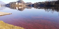 Wasser im Bleder See verfärbt sich plötzlich blutrot