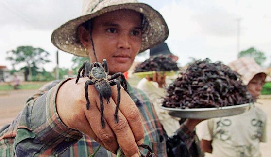 Frittierte Spinne in Kambodscha: Nicht für jedermann...