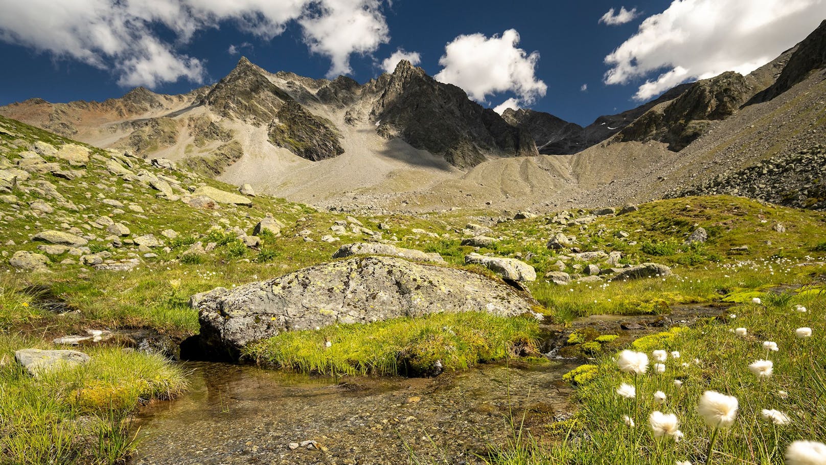 Eine neue WWF Studie erfasste knapp 160 Hektar bisher noch nie dokumentierter Moore in den österreichischen Alpen.