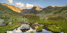 Erstmals 160 Hektar Moore in Österreichs Alpen erfasst