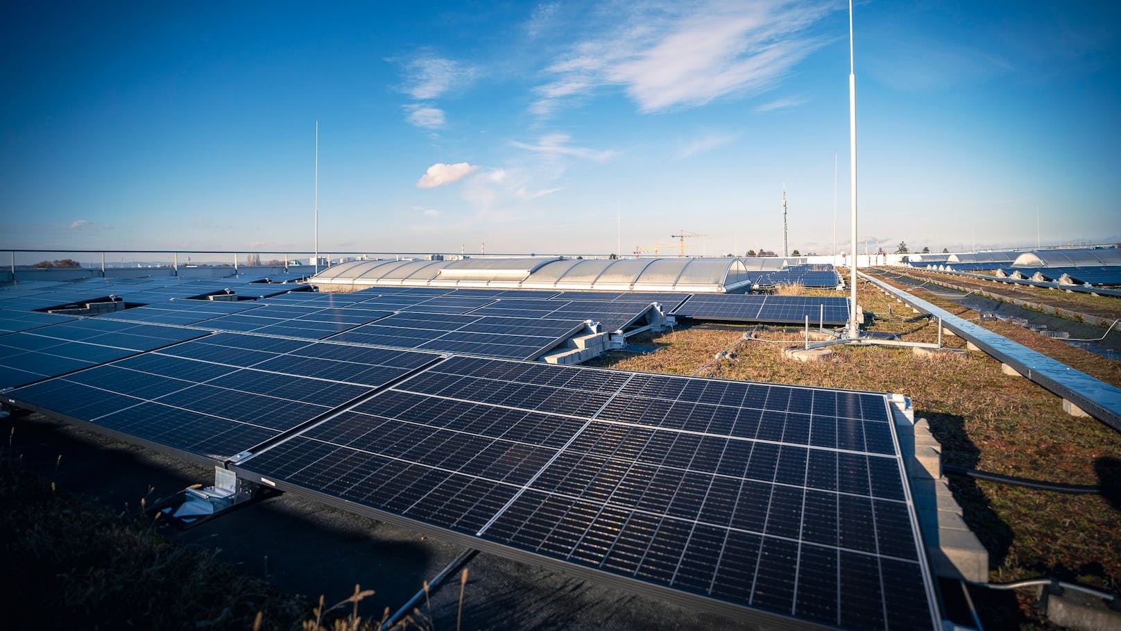 Auf dem Dach: 1.369 Photovoltaikmodule auf einer Fläche von 8.000 Quadratmetern