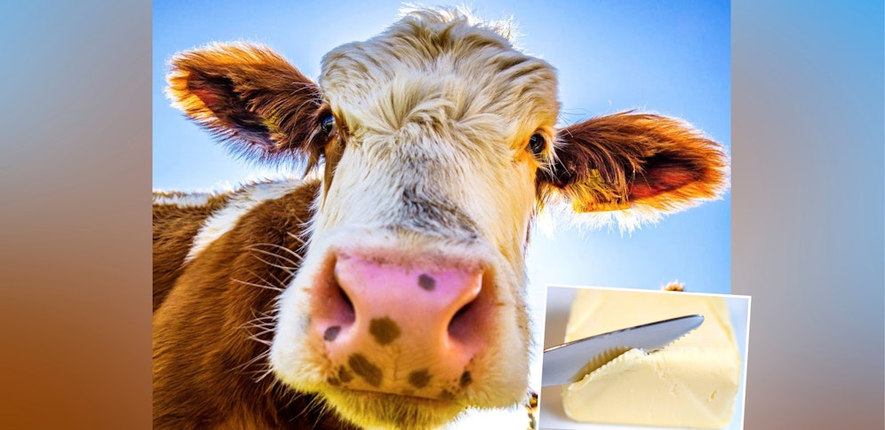 Konsumenten freut's, die Landwirte weniger: Butter wird jetzt wieder deutlich günstiger verkauft.