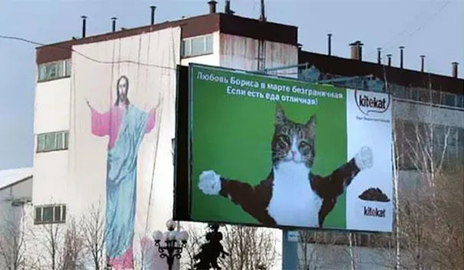 Rechts befindet sich eine Werbung für Katzenfutter. Nur sieht die Katze ein bisschen sehr danach aus, als würde sie Jesus Christus auf der linken Seite imitieren …
