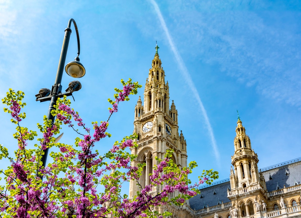 Der Frühling ist auch in der Bundeshauptstadt angekommen. Archivbild. 