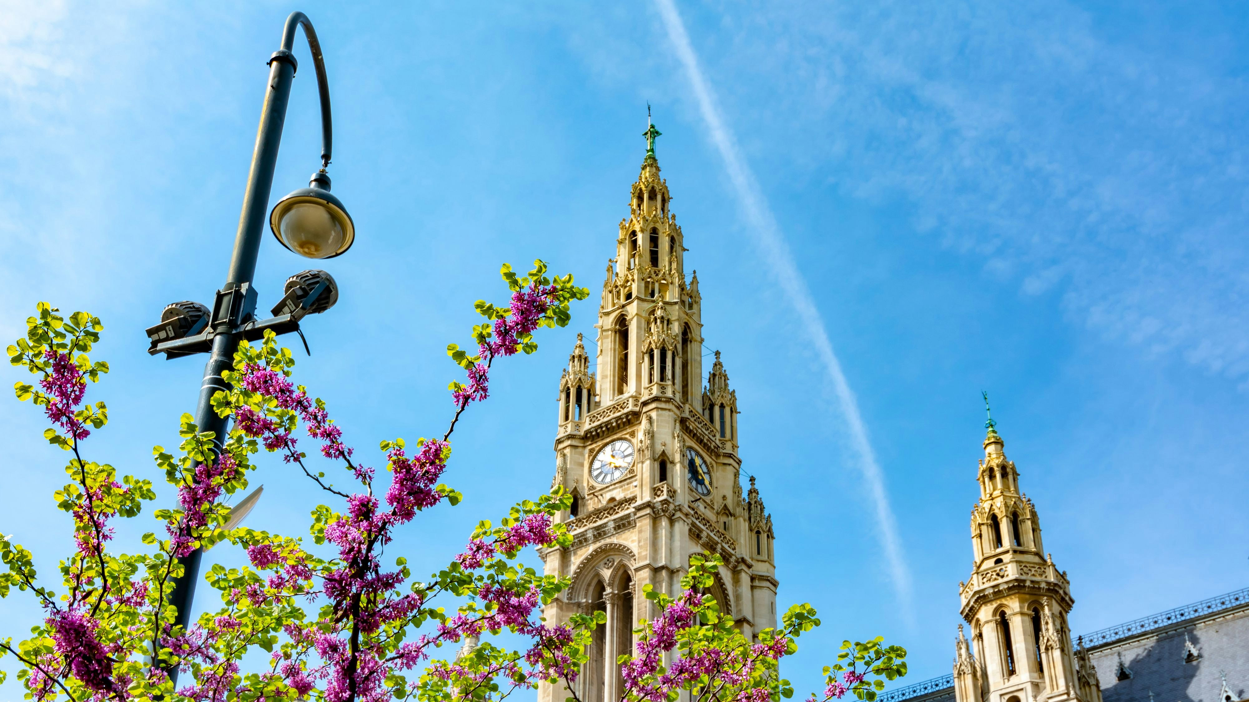 Der Frühling ist auch in der Bundeshauptstadt angekommen. Archivbild. 
