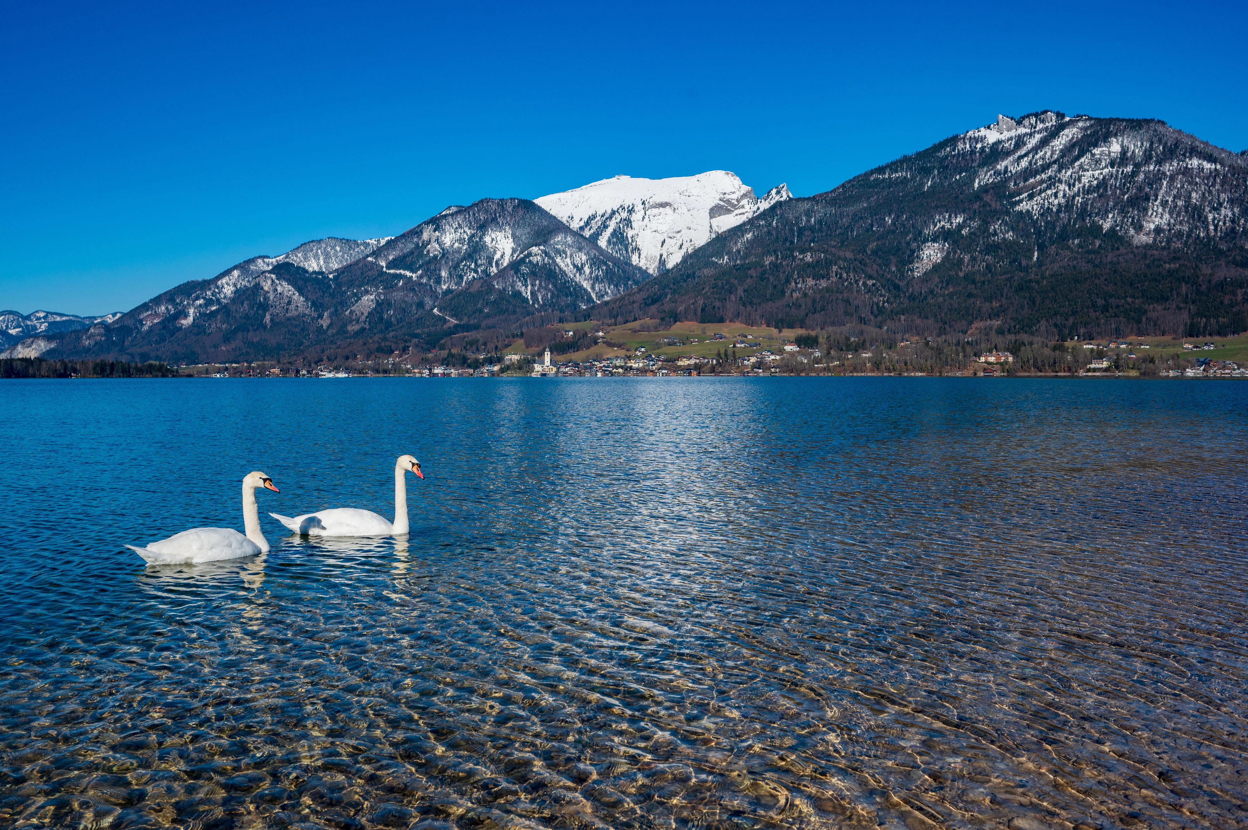 Auf den heimischen Bergen liegt viel zu wenig Schnee. Angesichts der Trockenheit schlagen Experten nun Alarm. 