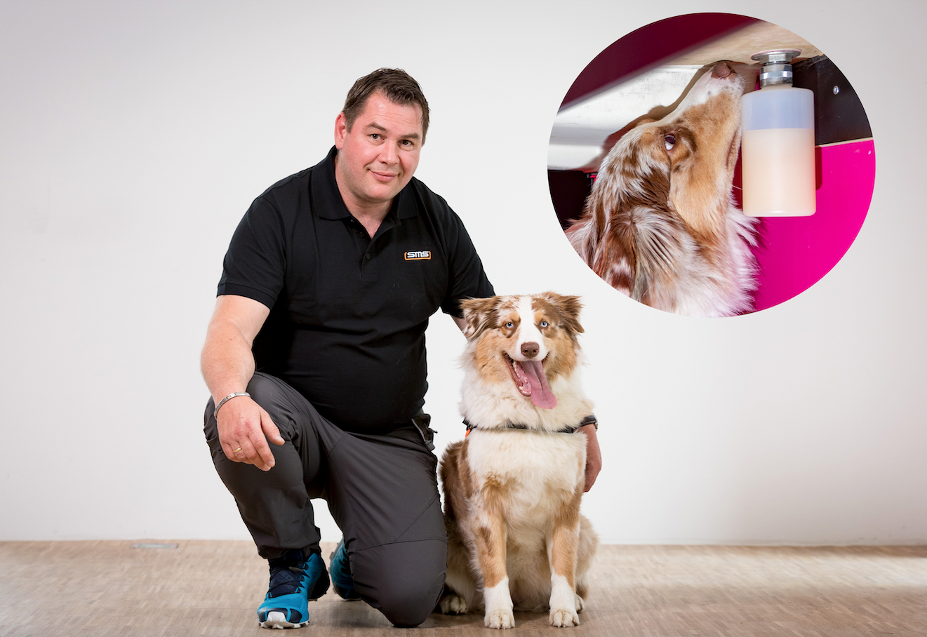 Vierbeiner "Dizzy" erschnüffelt Schimmel