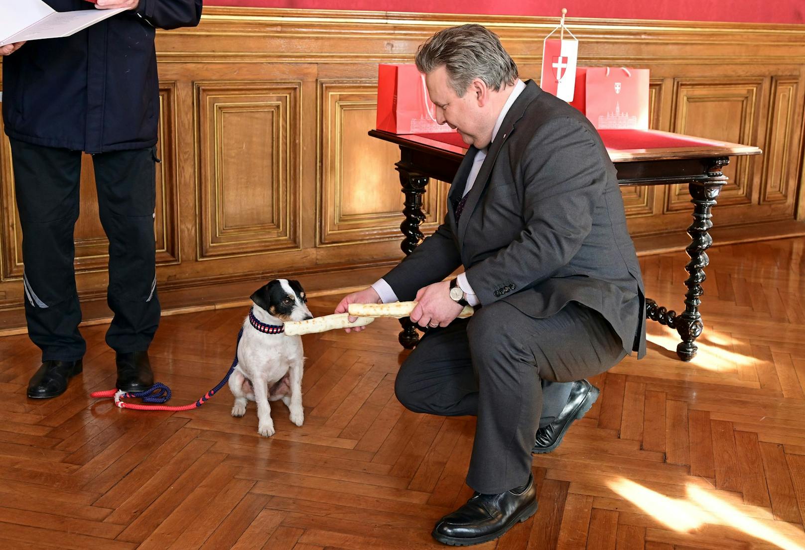 Leckerli von Wiens Bürgermeister Michael Ludwig für Rettungshund "Arwed"