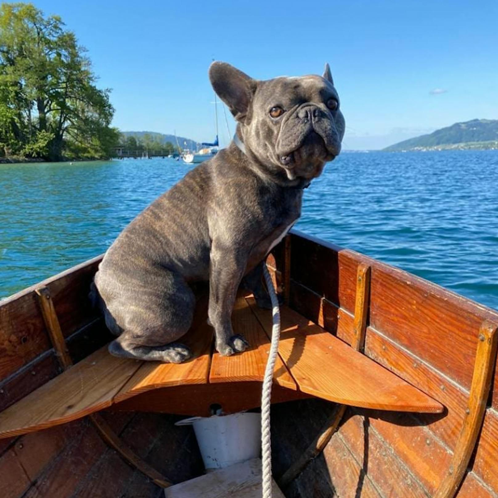 Ich mag Wasser grundsätzlich nicht, sitze aber gerne im Boot.