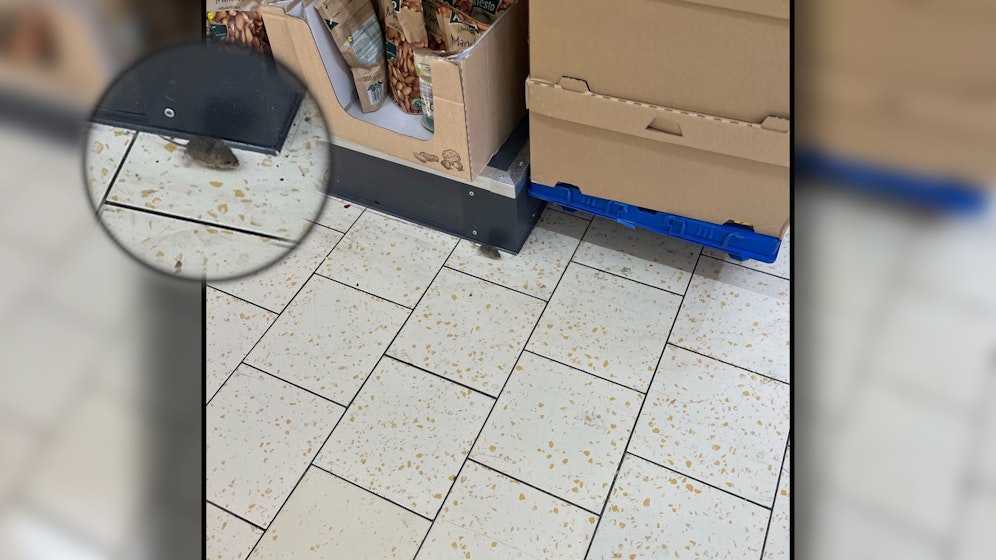 In Wien-Favoriten verirrte sich am Dienstag ein freches Mäuschen in einen Diskonter.