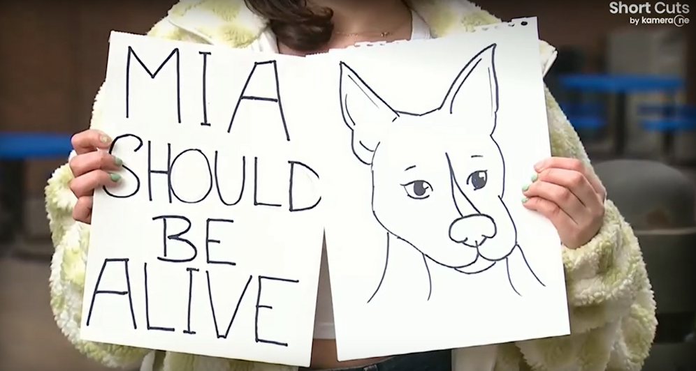 Hündin Mia wurde auf der Straße von einer FBI-Agentin erschossen.