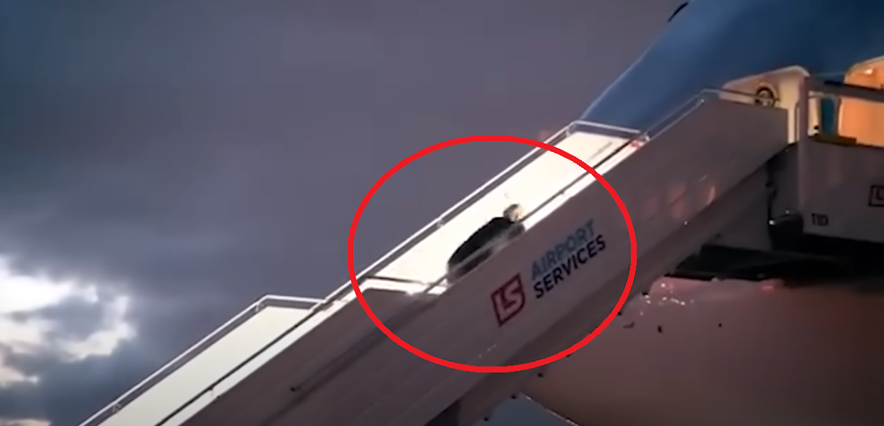 Heute.at - Schon wieder! US-Präsident stolpert in Air Force One