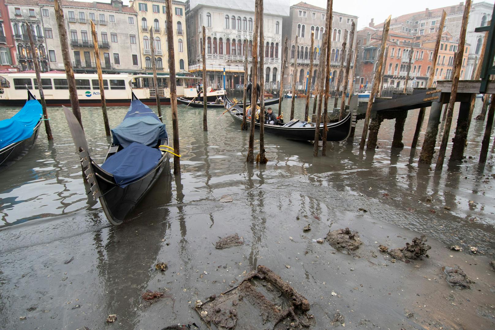 Bilder aus Venedig zeigen, dass ganze Kanäle ausgetrocknet sind.