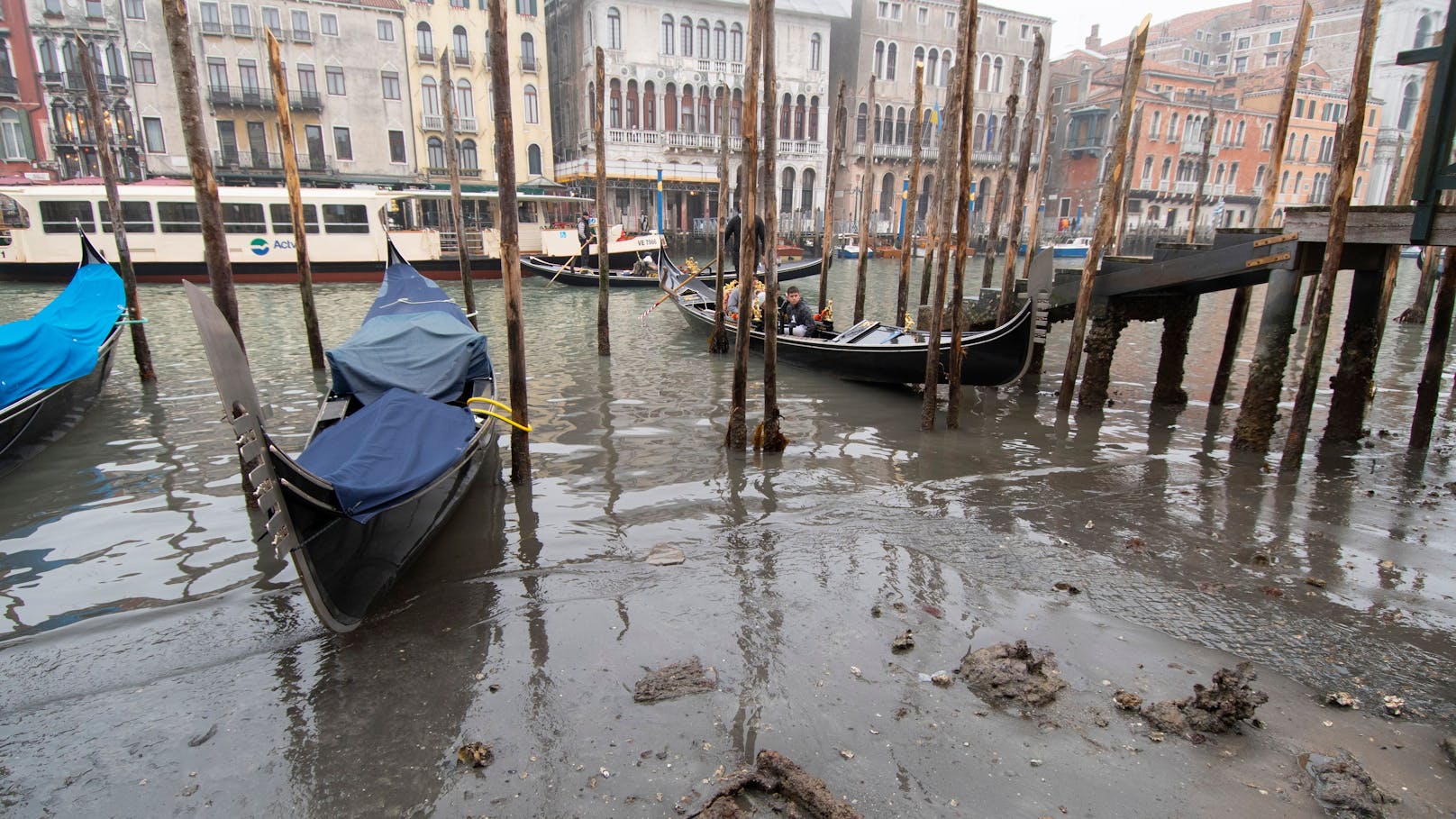 Bilder aus Venedig zeigen, dass ganze Kanäle ausgetrocknet sind.