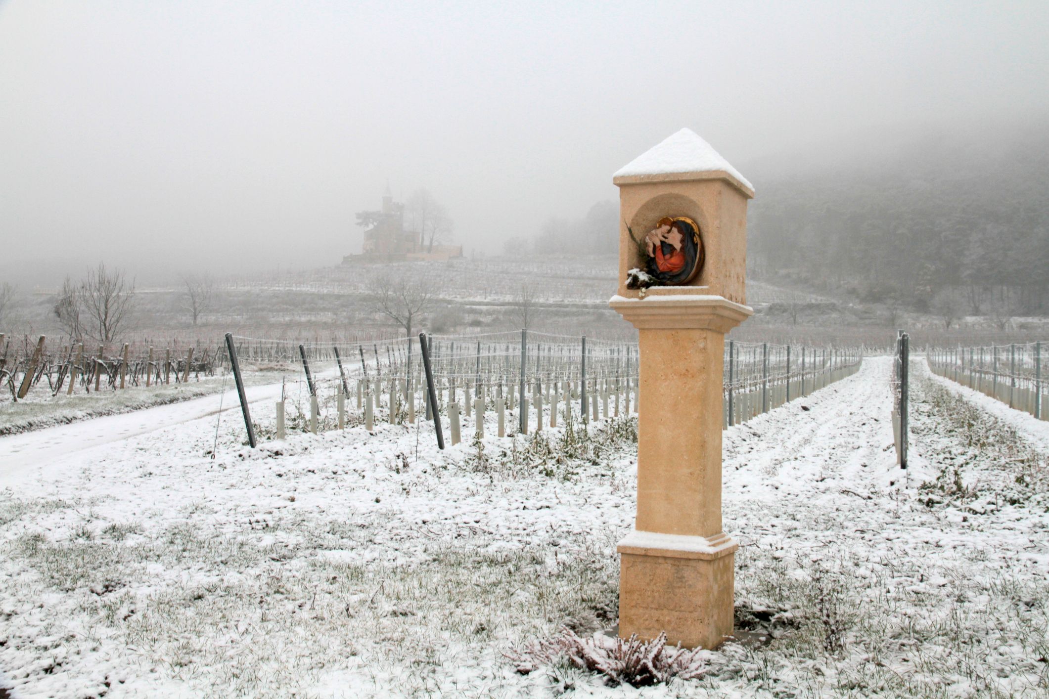 Winterlandschaft in Sooß bei Bad Vöslau, Niederösterreich. Symbolbild