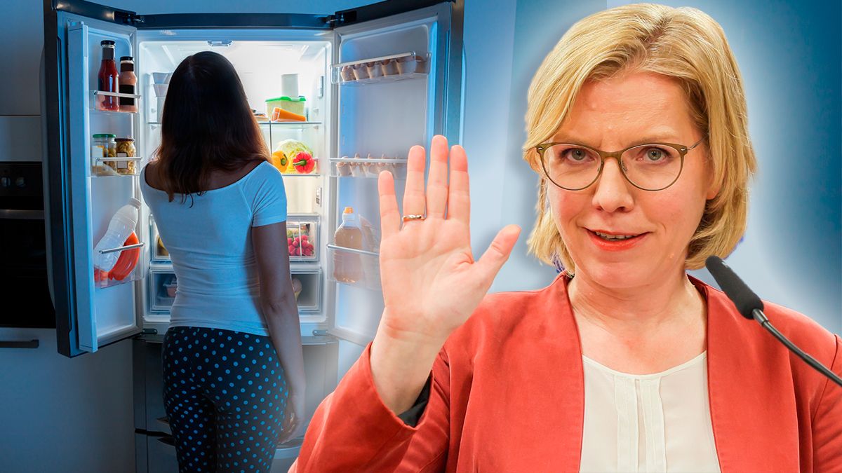 Gewesslers Energieministerium fördert nun einkommensschwachen Haushalten den Austausch von Kühlschränken, Waschmaschinen etc zu 100 Prozent.