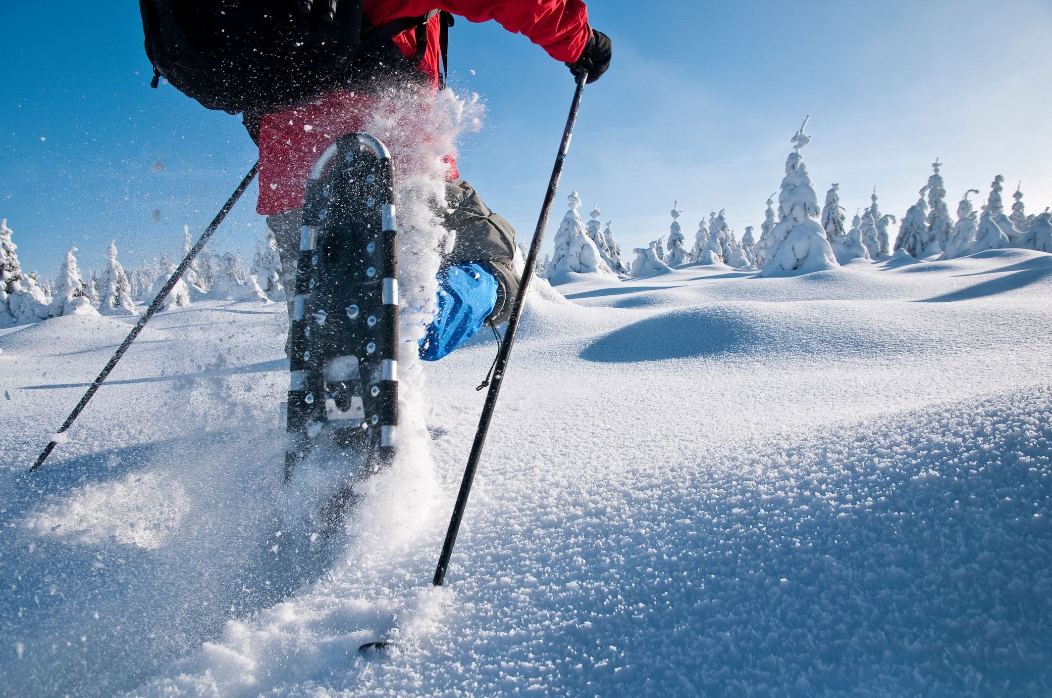 Man with snowshoes in Harz National Park, Lower Saxony, Germany