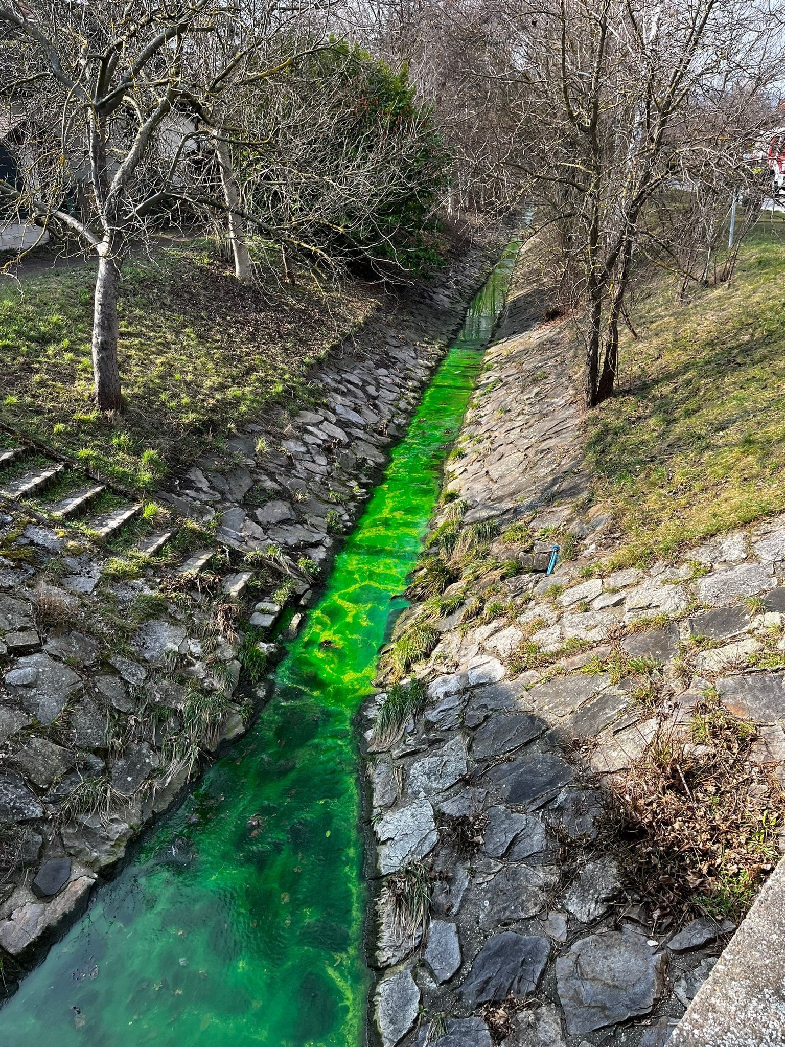 Der Bach in Perchtoldsdorf leuchtete giftgrün.